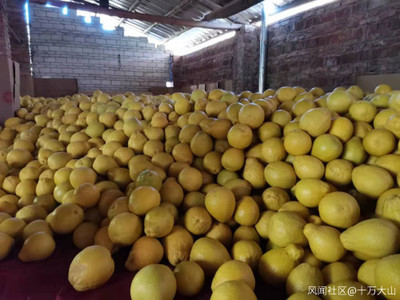 家鄉特色水果產業 產銷現狀、挑戰與機遇的觀察